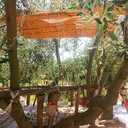Ktima Ioulia بيت للعطل Messíni