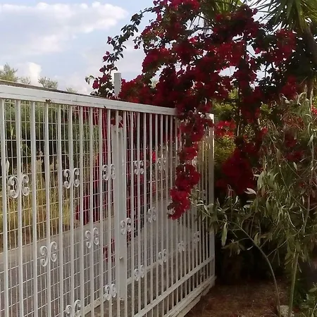 Ktima Ioulia Holiday home